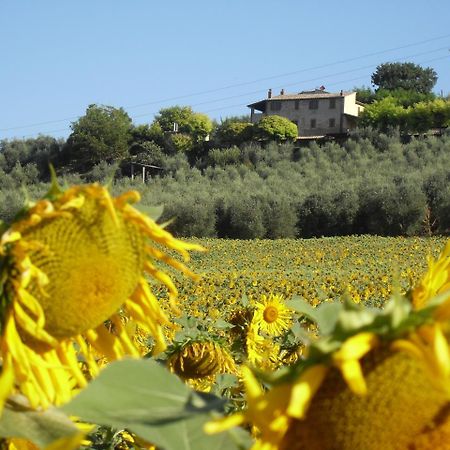 Agriturismo Oliveto Di Geltrude Contessa Амелиа Екстериор снимка