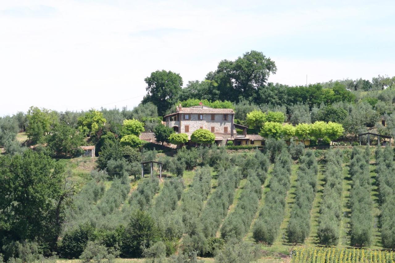 Agriturismo Oliveto Di Geltrude Contessa Амелиа Екстериор снимка